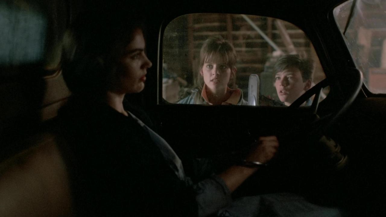 Ditë të Plota në Pemë backdrop