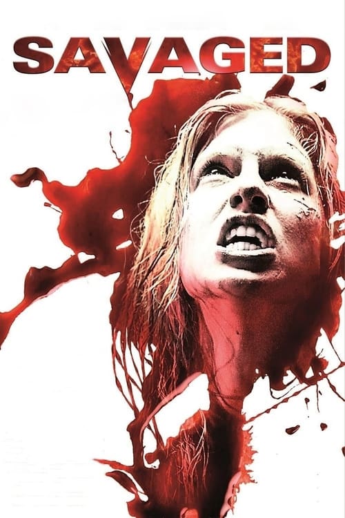 Arena në xhepa poster