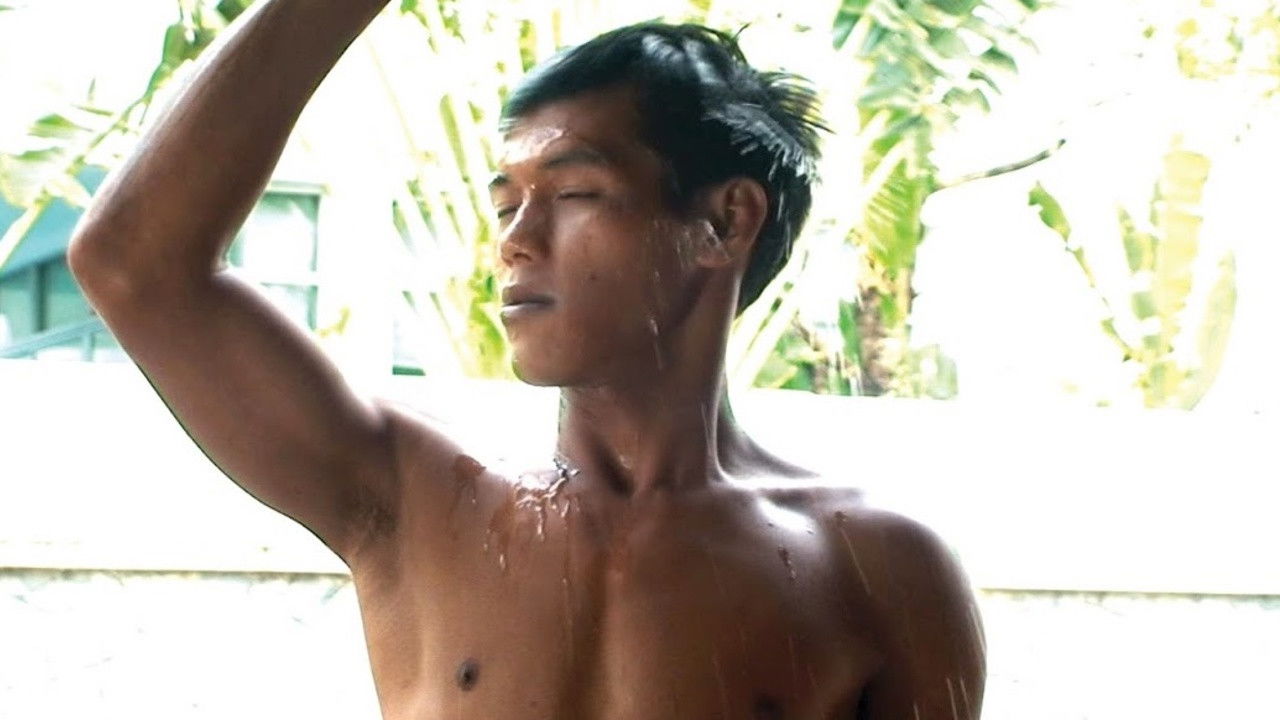 Në pyjet pranë Kovelit backdrop