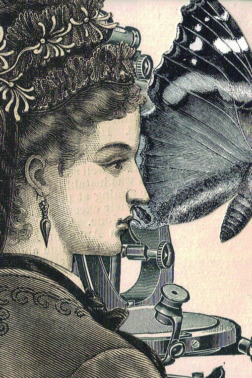 Një Rast i Blu poster