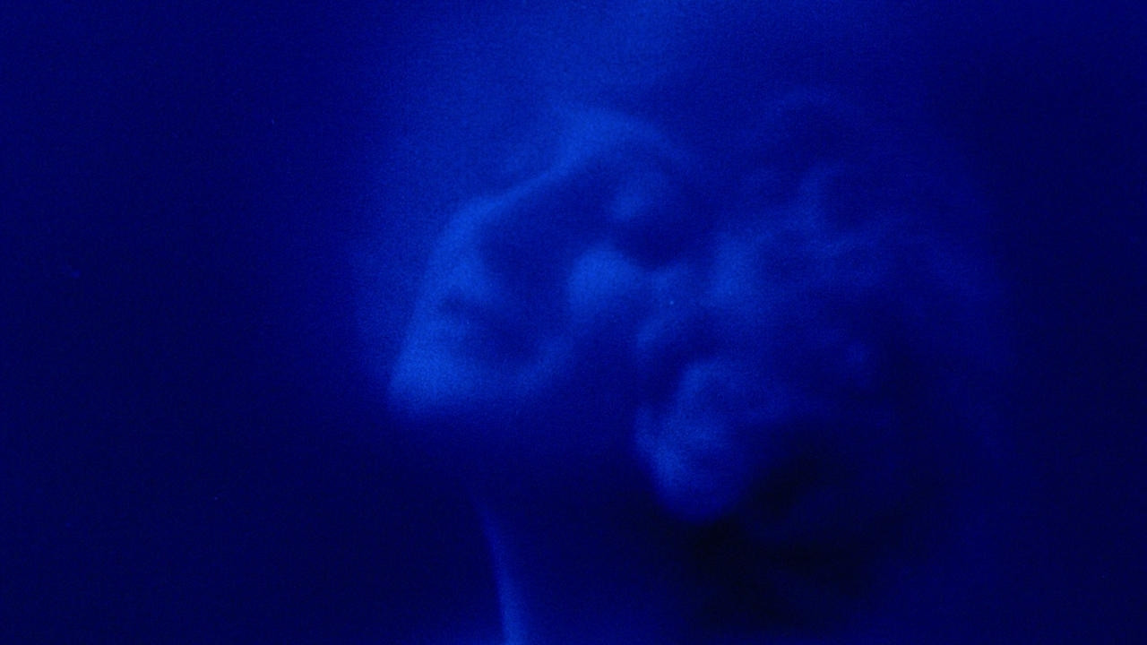 Të Treja Faqet e Terrorit backdrop