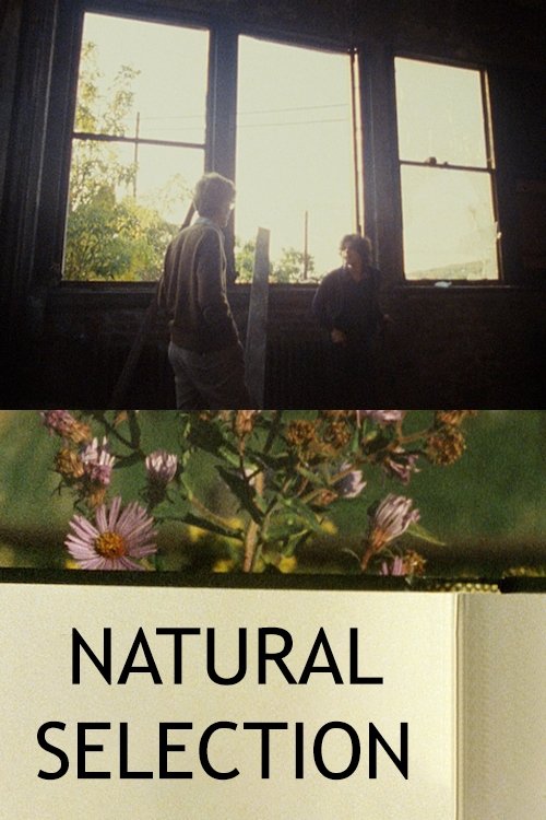 Haydn Stinët poster