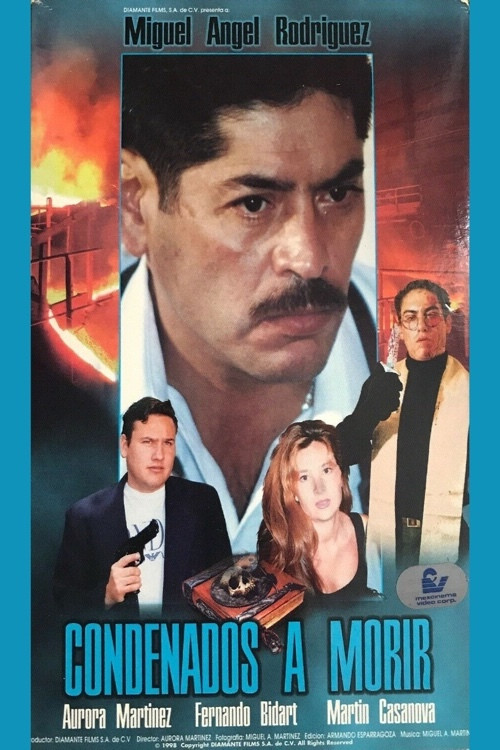 Diana: E Vërteta Mbretërore poster