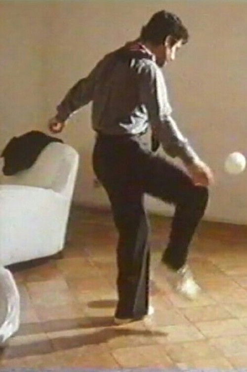 Dear Chickens poster