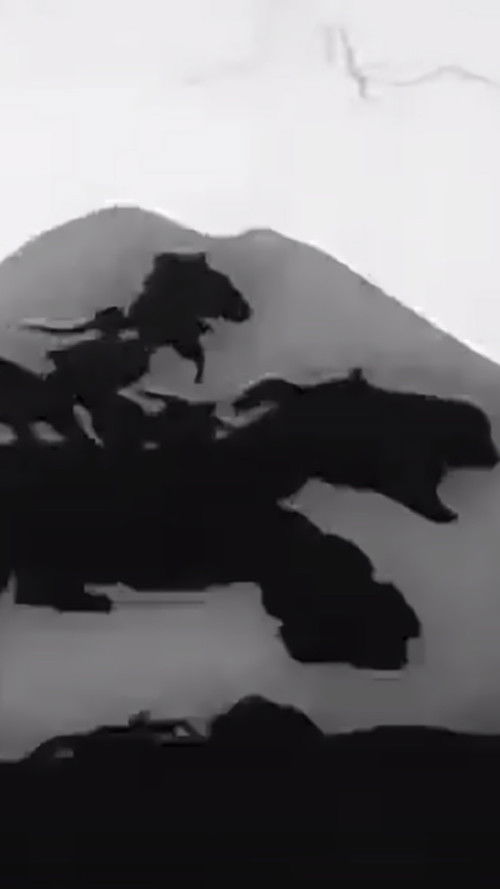 Brot im Orientexpress poster