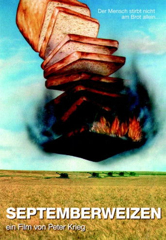 Historia e Dashurisë