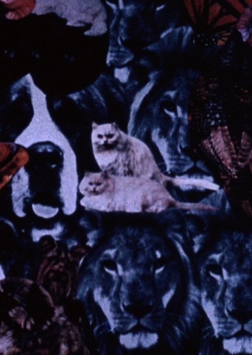 Asnjëherë Nuk Është Vonë poster