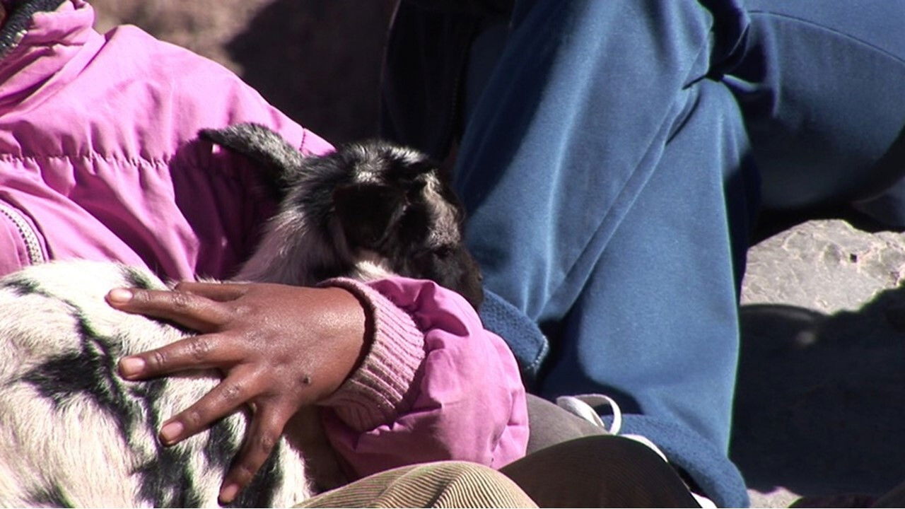 Unë dhe nusja ime backdrop