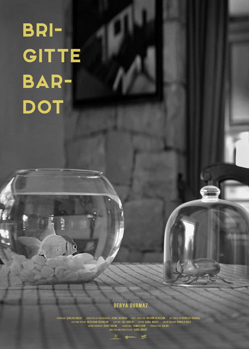 Daar Kom Tant Alie poster