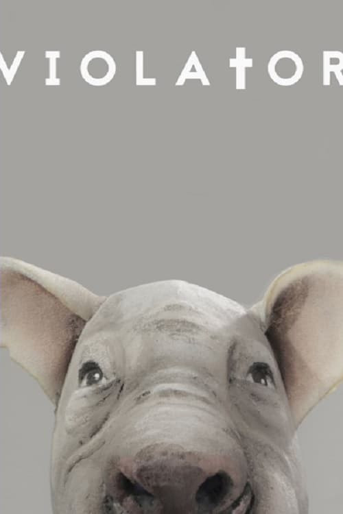 Vajza e Ditëlindjes poster