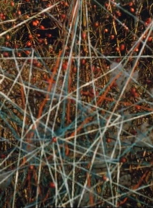 Një Dhuratë nga Zoti poster