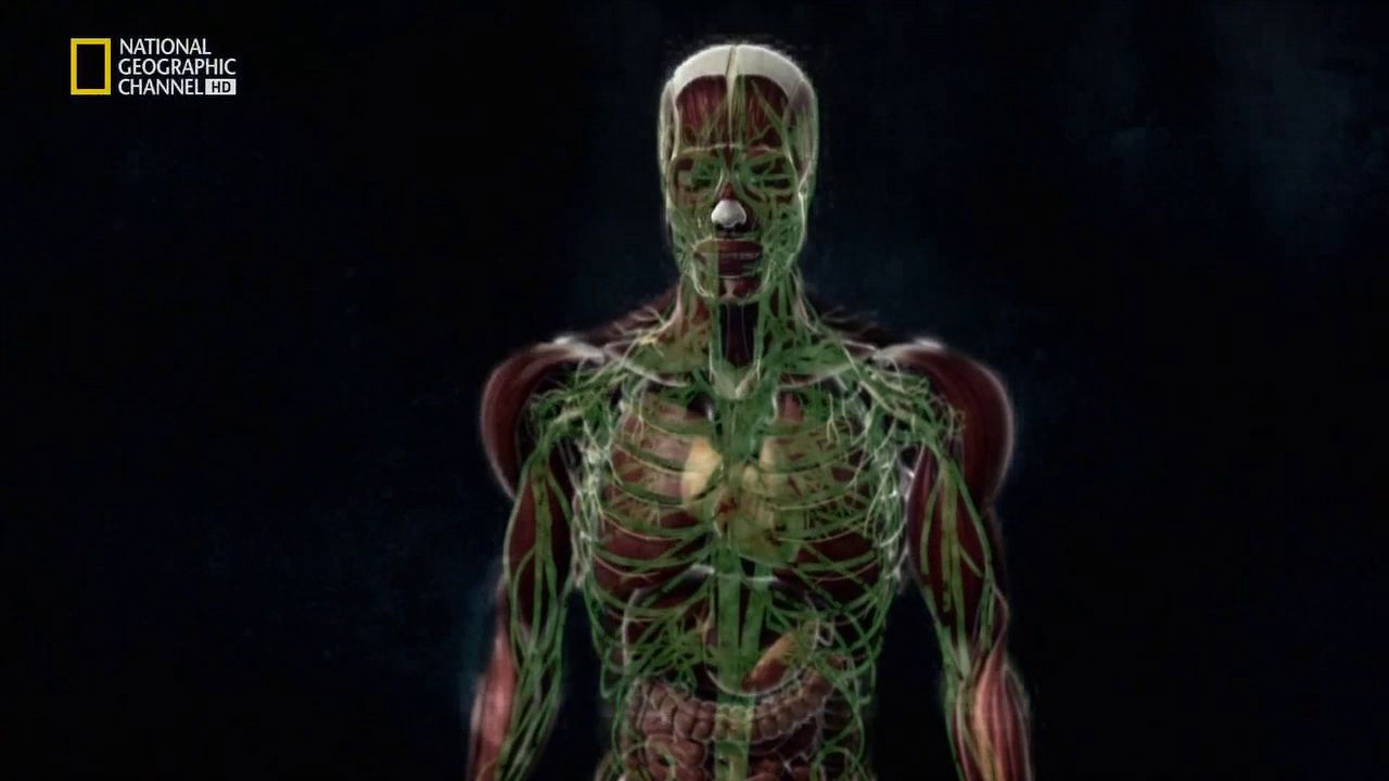 Gruaja ime dhe miqtë backdrop