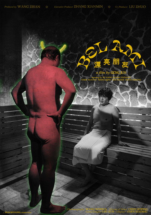 Legjenda e banditit poster