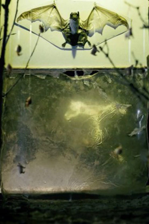 T11 Incomplete poster