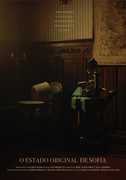 Kovboji dhe Flapperi poster