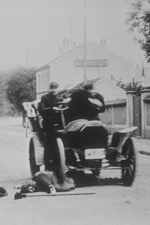 Qyteti i Sambës poster