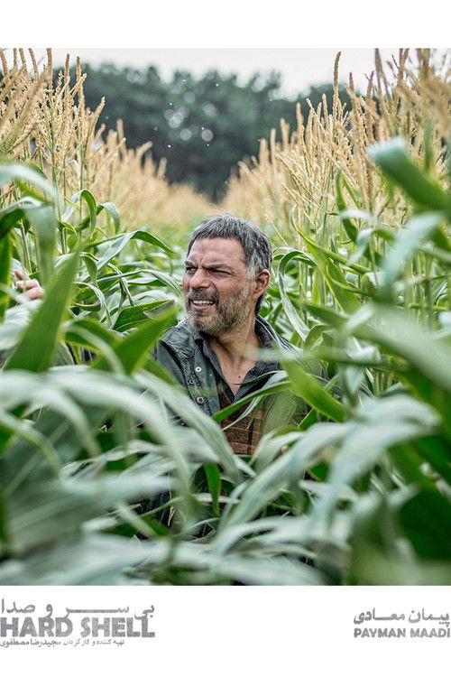 Hijeshia e Krimit poster