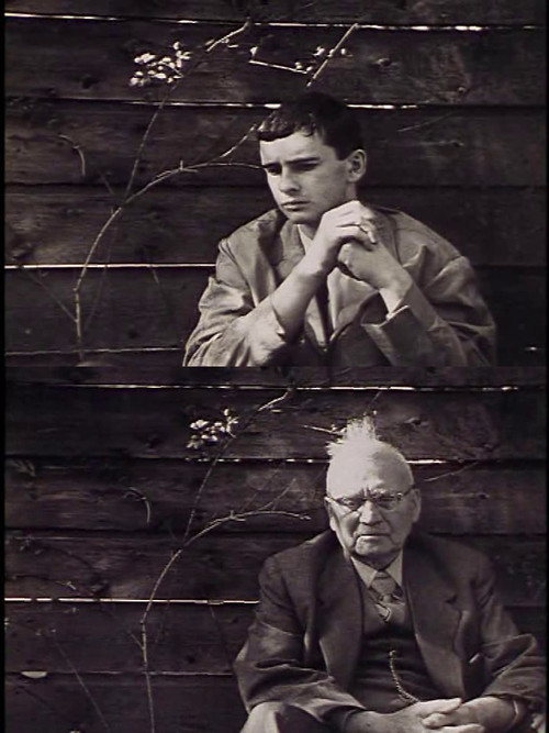 Dashnori im i kuzhinës poster