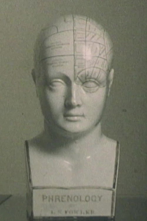 Ndërsa Fluturonin drejt Hënës poster