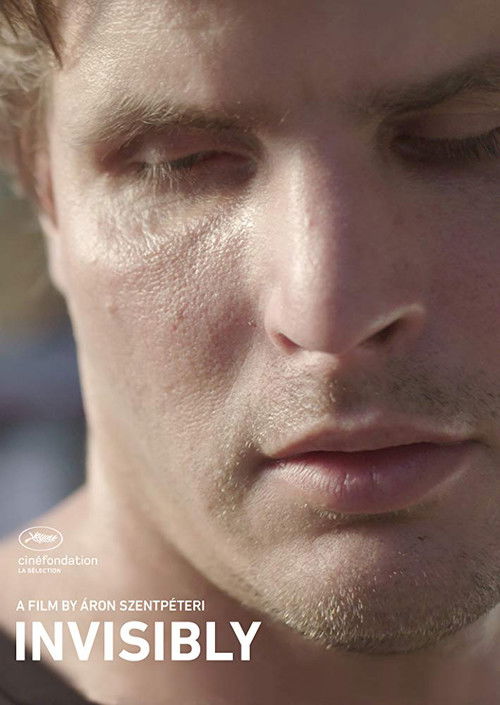 Mbreti dhe hajduti poster