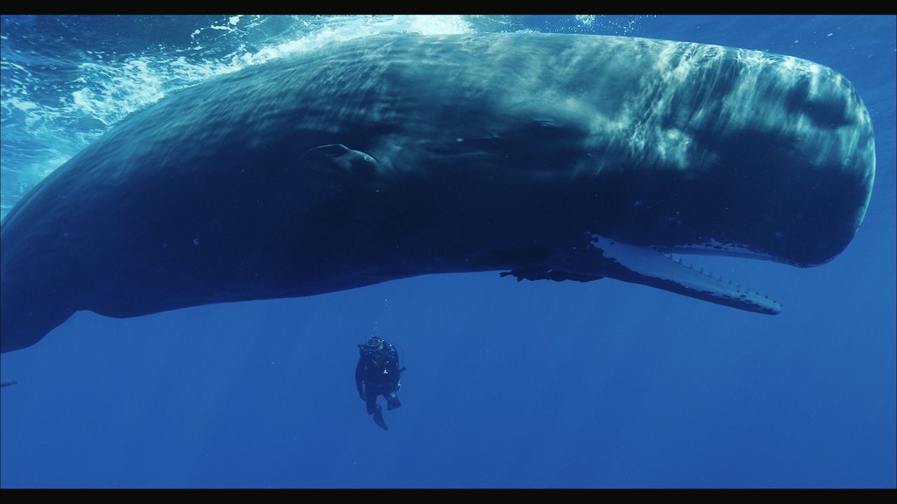 Puppet Masters backdrop