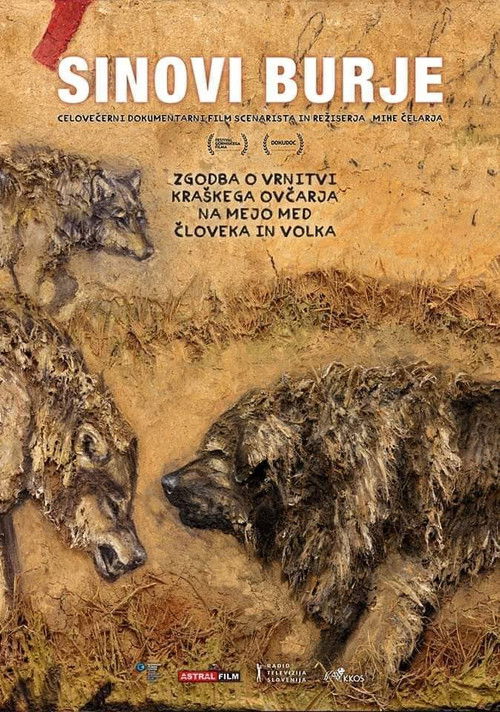 MTV Unplugged: Momente Klasike poster