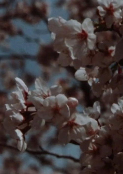 The title Devudu remains the same in Albanian, as it is a proper name poster