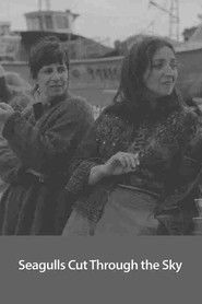 Modelet e Dëshmive: Mrekullia e Detit të Kuq