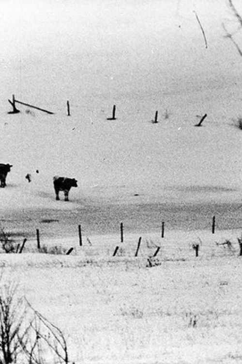 O Funeral i Patrónit poster