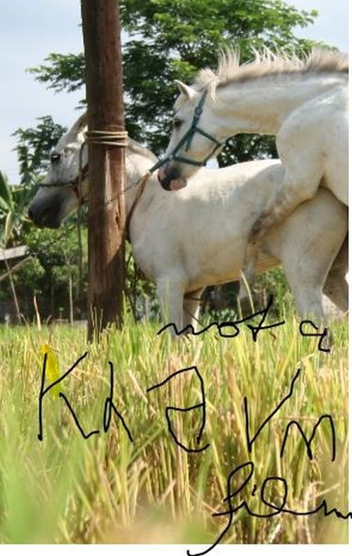 Ndërmjet Dashurisë dhe Arsyes poster