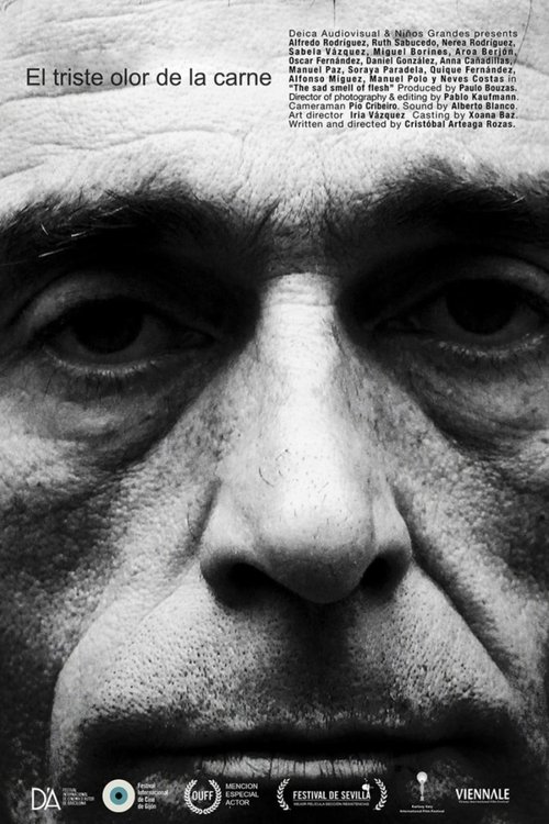 Epoka e Artë e Kanaleve poster