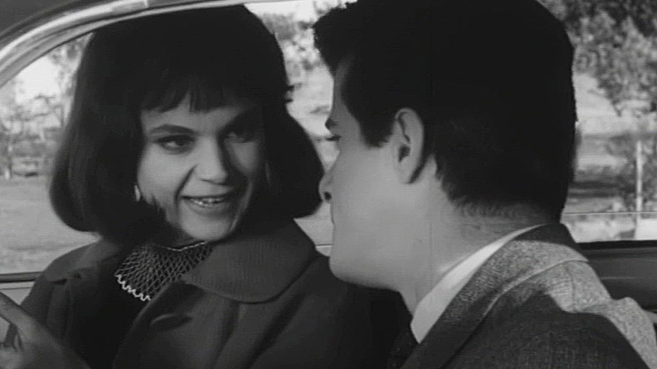 Vezë dhe Bombë backdrop