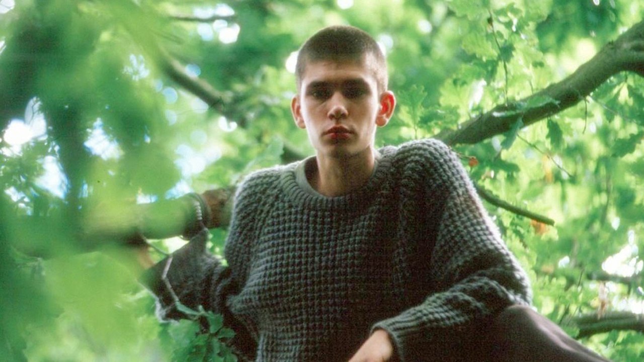 Superheronjtë backdrop