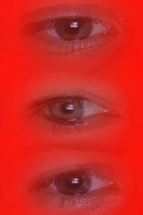 Eja Merrni Disa: Gratë e WWF poster