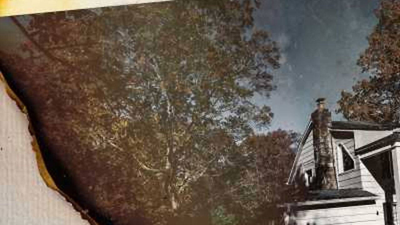 Elisabeth: Rondoja e Dashurisë dhe Vdekjes backdrop