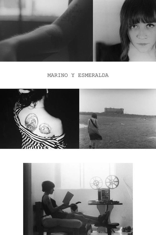 Televizori do të jetë! poster