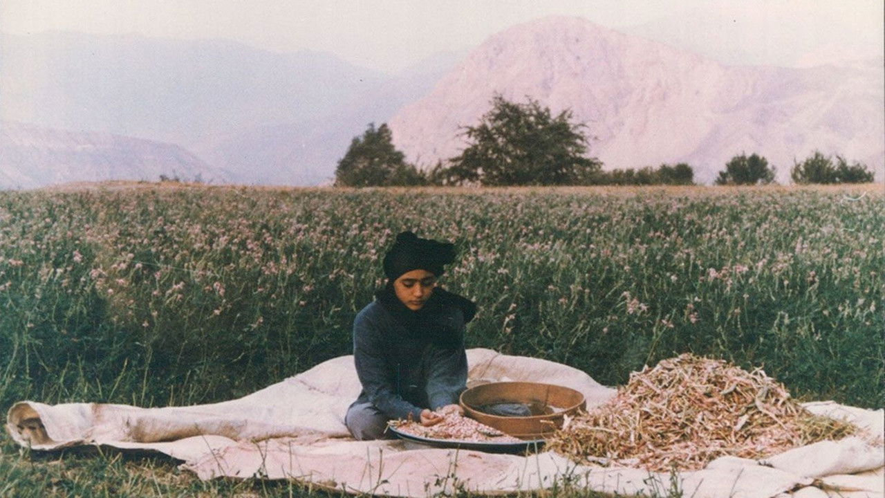 Bassie & Adriaan: Leren in het verkeer backdrop