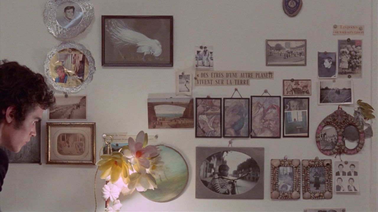 Lotët e Gazës backdrop