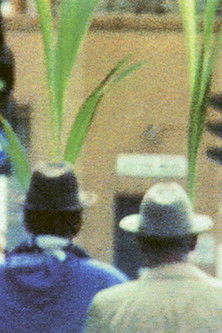 Darkë e Fundit poster