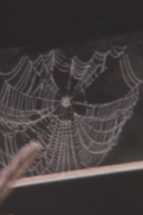 Historia e Dashurisë: Vrasja në Rrugë poster