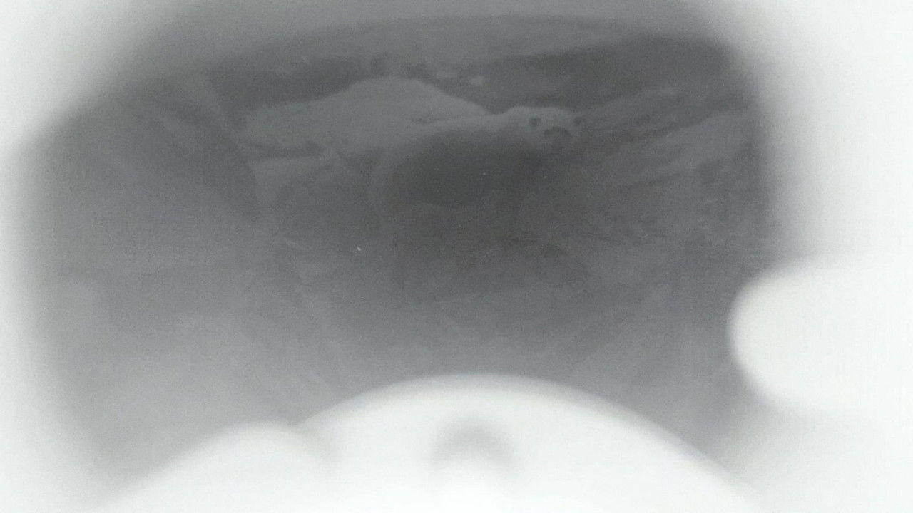 Kuptimi i Gushtit backdrop