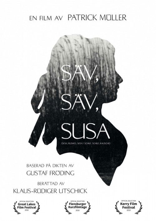 Krijimi i Arc the Lad poster