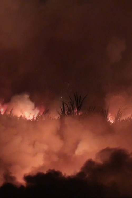 Shpirti Binjak poster