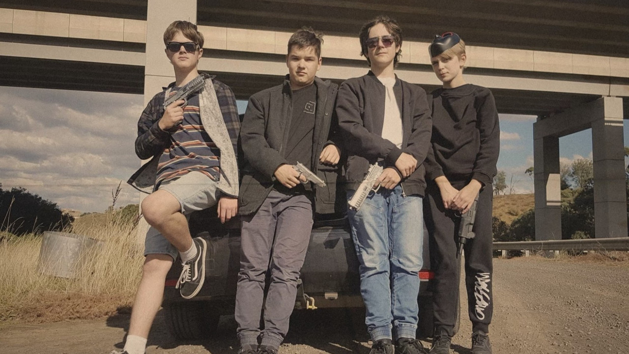 Où sont passées les hirondelles ? backdrop