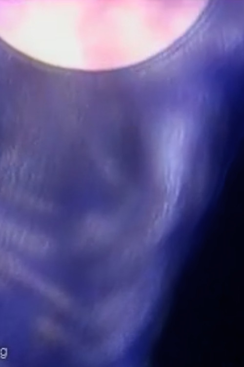 Me Rolin e Gjyshes poster