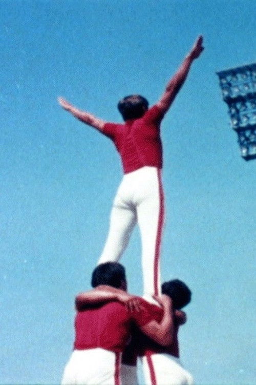 Rrugica e banderilave që njofton bullat poster