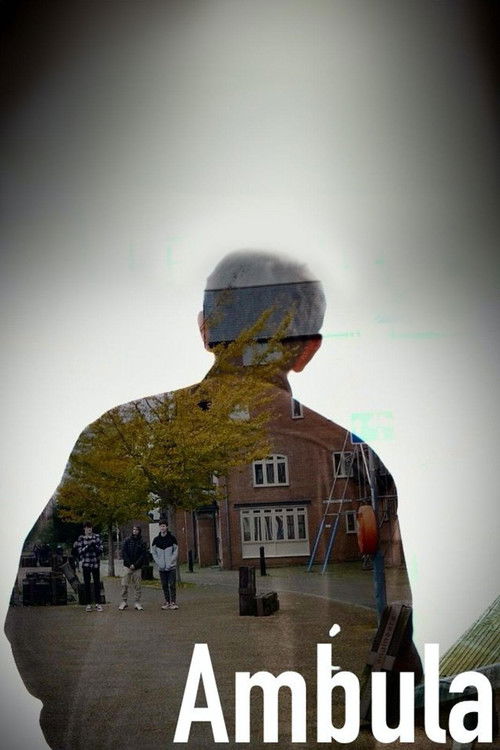 Tre burra dhe një natë vere poster