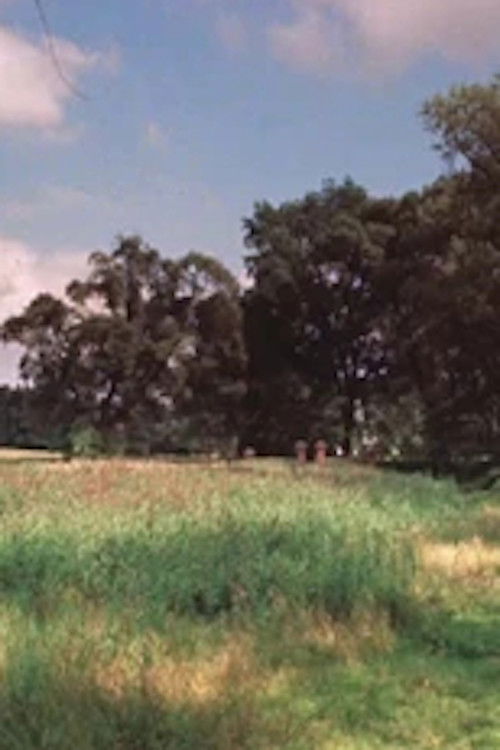 Përjetësisht poster