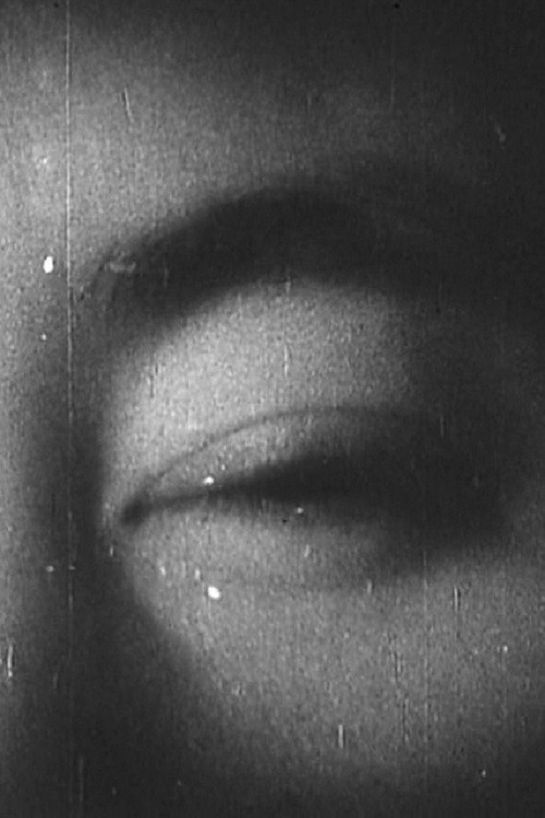 Cirkulli i Kërcimit poster