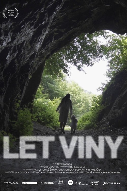 Një Buzëqeshje e Bukur poster